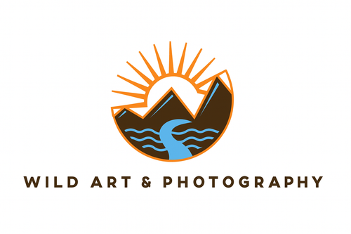 Wild Art & Photography